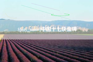 大理中国十七块金牌