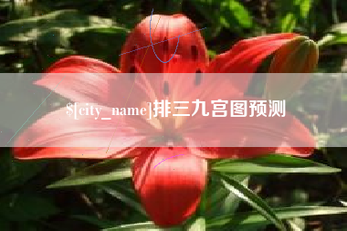 大理排三九宫图预测
