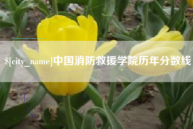 大理中国消防救援学院历年分数线