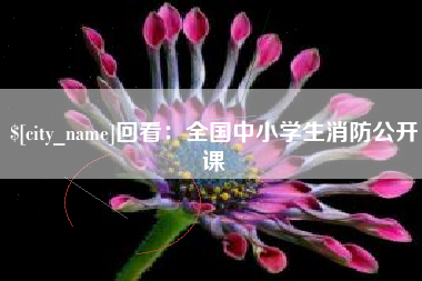 大理回看：全国中小学生消防公开课