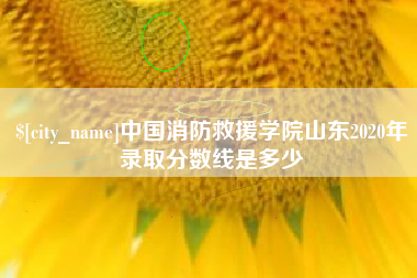 大理中国消防救援学院山东2020年录取分数线是多少