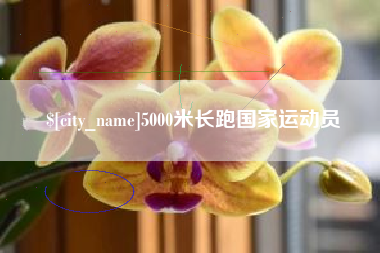 大理5000米长跑国家运动员
