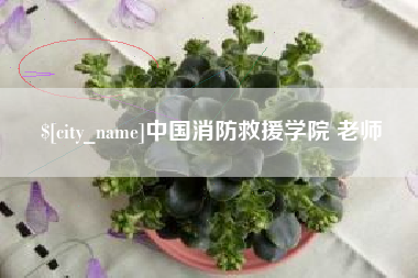 大理中国消防救援学院 老师