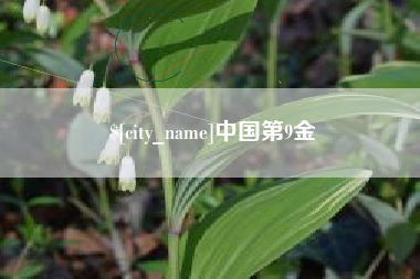 大理中国第9金