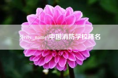 大理中国消防学校排名