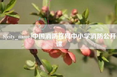 大理中国消防官网中小学消防公开课