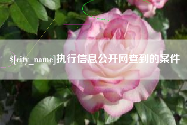 大理执行信息公开网查到的案件