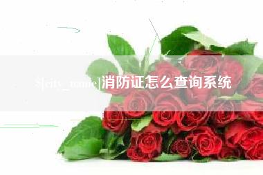 大理消防证怎么查询系统