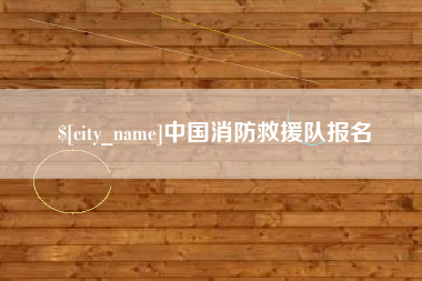 大理中国消防救援队报名
