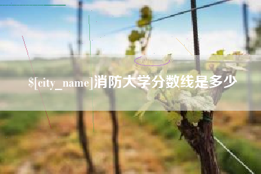 大理消防大学分数线是多少