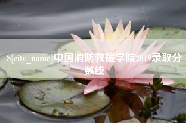 大理中国消防救援学院2019录取分数线