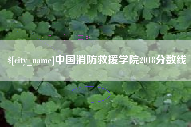 大理中国消防救援学院2018分数线