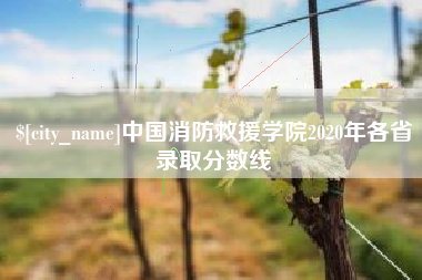大理中国消防救援学院2020年各省录取分数线