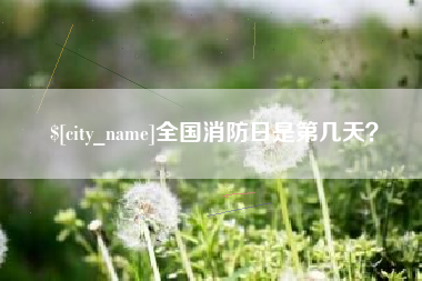 大理全国消防日是第几天？