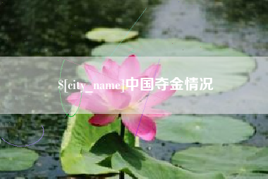 大理中国夺金情况
