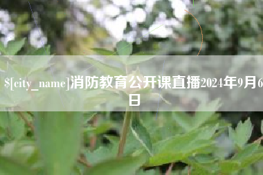大理消防教育公开课直播2024年9月6日