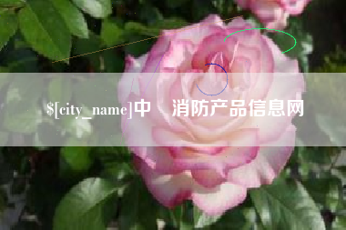 大理中囯消防产品信息网
