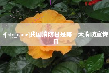 大理我国消防日是哪一天消防宣传日