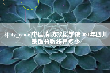 大理中国消防救援学院2021年四川录取分数线是多少
