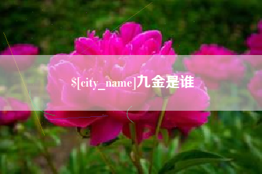 大理九金是谁