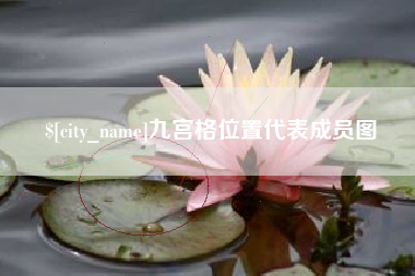 大理九宫格位置代表成员图