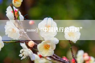 大理“中国执行公开网”