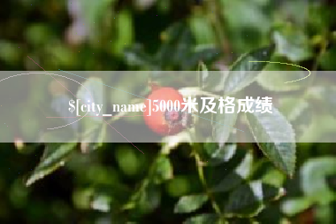 大理5000米及格成绩