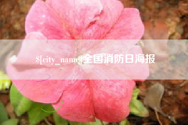 大理全国消防日海报