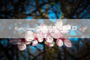 大理国家消防报名入口