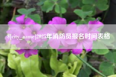 大理2025年消防员报名时间表格