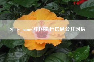 大理中国执行信息公开网后