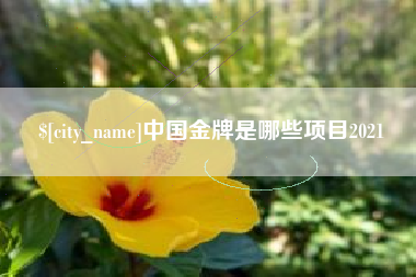 大理中国金牌是哪些项目2021