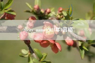 大理2021年9宫格