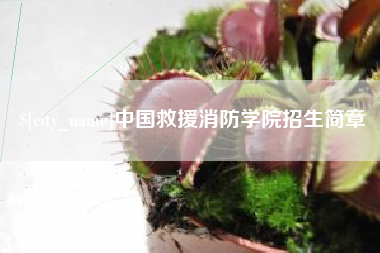 大理中国救援消防学院招生简章