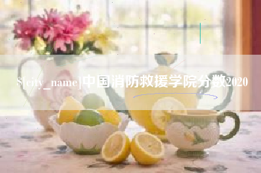 大理中国消防救援学院分数2020