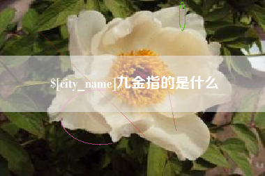 大理九金指的是什么