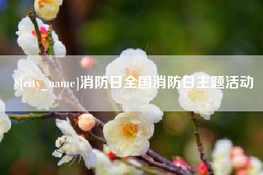 大理消防日全国消防日主题活动