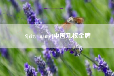 大理中国九枚金牌