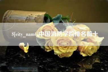 大理中国消防学院排名前十
