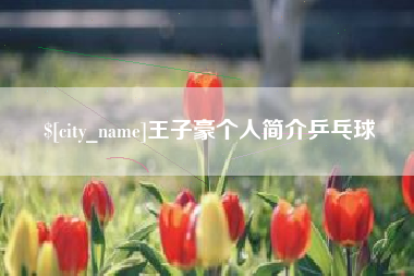 大理王子豪个人简介乒乓球