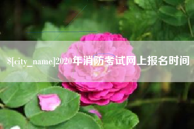 大理2020年消防考试网上报名时间