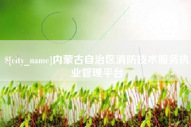 大理内蒙古自治区消防技术服务执业管理平台