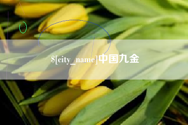 大理中国九金