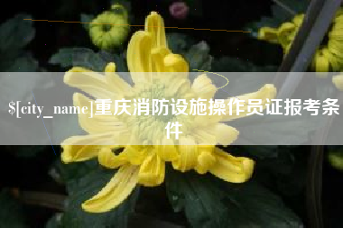 大理重庆消防设施操作员证报考条件