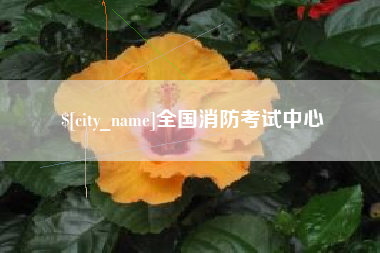 大理全国消防考试中心