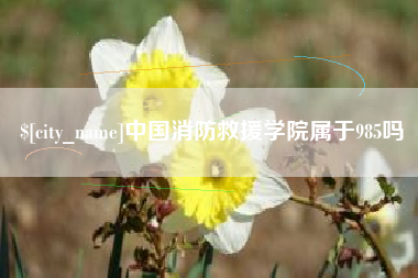 大理中国消防救援学院属于985吗