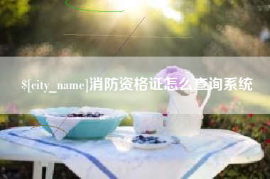 大理消防资格证怎么查询系统