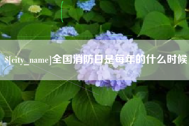 大理全国消防日是每年的什么时候