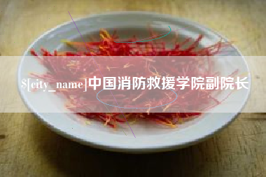 大理中国消防救援学院副院长