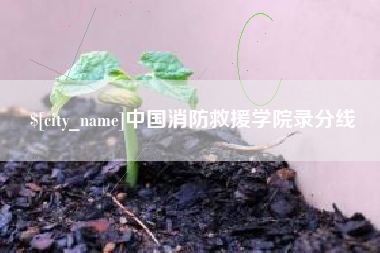 大理中国消防救援学院录分线
